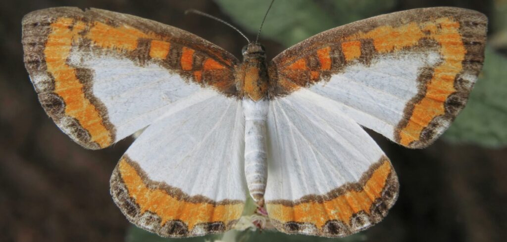 PARA-Methode - House of Spaces